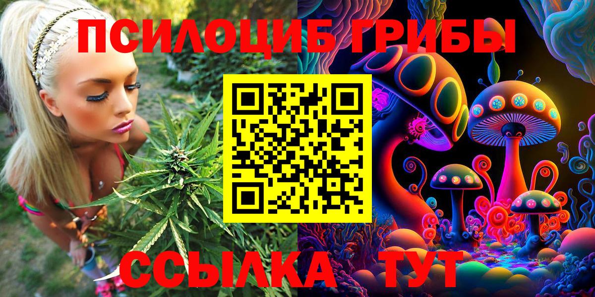 Галлюциногенные грибы MAGIC MUSHROOMS Калуга