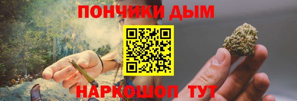 Каннабис сатива Калуга